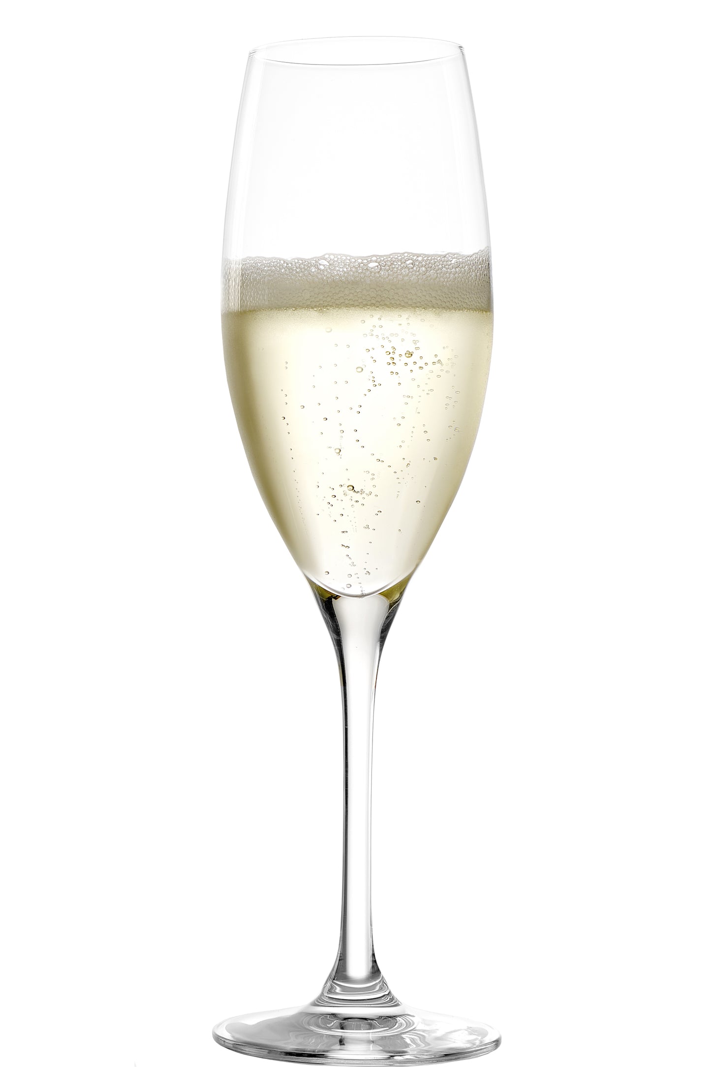 Champagne Glass 240 ml Classic